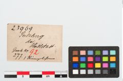 Etiketten zu Bronzering (NHMW-PRAE-023969)
